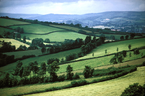 The Devonshire countryside that Tally falls in love with